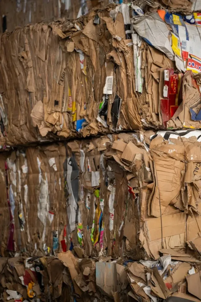 Traitement sécurisé des déchewebp